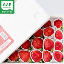 옳음 상위 5% 고당도 논산 설향 딸기 산지직송 900g 1박스, 설향/특(4호)/30구/900g/일반포장