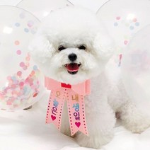 핑크캔디 강아지 고양이 리본화환 생일파티 강아지화환, 리본화환(컬러밴드)_피치(오로라)
