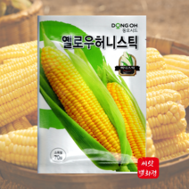 옐로우허니버터 옥수수 씨앗70립/ 초당옥수수 씨앗 채소씨앗 홈가드닝, 1개