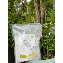백색자갈 1Kg 2.5Kg) 흰돌 화분 어항 바닥재 다육이 조경 자갈돌 수경재배돌 인테리어돌, 1Kg - 대립
