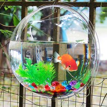 벽걸이 수족관 벽 탱크 그릇 걸이식 아크릴 냄비 장착 베타 버블 꽃병 마운트 라운드 공기 화분 아쿠아 포닉, [01] Size 3