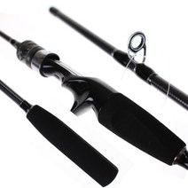 비앤케이 엑스퍼트 쭈꾸미 전용 루어대 165C