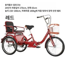 성인세발자전거 어른용 3륜 2인용 역삼륜 3발 삼발이 노약자 어르신 할아버지 할머니 노인용 장보기, 단일사이즈, A