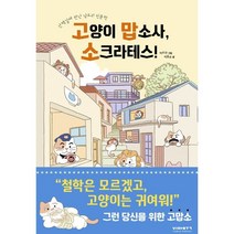 고양이 맙소사 소크라테스!:산책길에 만난 냥도리 인문학, 비아북, 박홍순