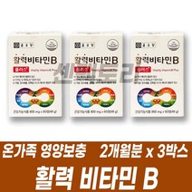 활력비타민B군 엽산 판토텐산 비오틴 바이오틴 니아신 나이아신