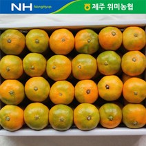 위미농협 제주 위미농협 하우스감귤 3kg(35-45과), 단일옵션