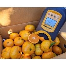 서귀포 고당도 무농약 제주감귤5kg 10kg, 5kg로얄과
