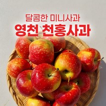 영천 루비에스 미니 사과 천홍 1kg 꿀사과, 영천 미니사과 천홍 1kg 20개