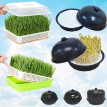 콩나물 키우기 새싹 보리 식물 재배기 수경 재배 숙주 무순 세트 키트 시루 가정용 기르기 숙주 블랙 애완 씨앗 1단 콩 만들기 미니 소형 대형 보리 발아 채소 싹 메밀 잔디 밀싹, 콩나물재배기(대)