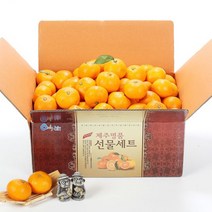 제주 노지감귤 실중량 5kg 중대과