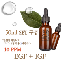 에코문 EGF + IGF 10ppm 2EA세트-50ml 원액 앰플 에센스, 1개, 50ml