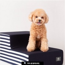 버디캣 어닝 스트라이프 2단 3단 스텝 강아지 계단, 그레이