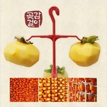 높은활용도 반영구적사용 자연건조 곶감보관대 곶감거치대 감고리, 꼭지핀 100개입