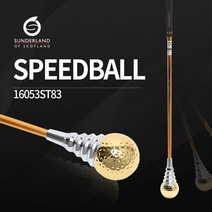 선덜랜드 골프 스윙연습기 스피드볼 - 16053ST83