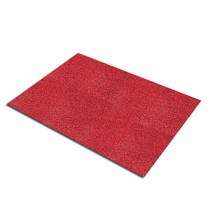 LYH087585 *디아코니아* 매직크린 투톤코일 현관매트 60X90cm/블랙+레드