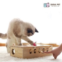 고양이 러시안블루 먼치킨 코리안숏헤어 움직이는 캣펀치 냥냥펀치 두더지 잡기 게임 놀이 캣펀치 원목 장난감, 정사각형(8개 두더지)