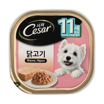 닥스훈트 강아지캔사료 교육 반려견습식간식 닭고기, 상세페이지 참조