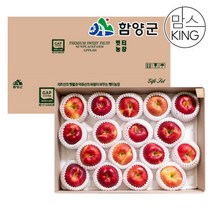 [지리산함양]햇터농장 고랭지 부사 사과선물세트 특 11-13과, 단품