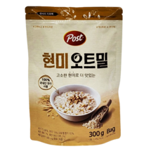 댕Ol몰 동서 포스트 오트밀 식사대용 시리얼 300g, 1개