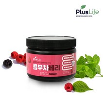 콤부차 꼼부차 콤푸차 분말 환절기 코스트코콤부차 홍차 베리차 다이어트 새콤부차 분말 혼합유산균 발효 스코비 스파클링 음료수 슬림 20대 30대 여성 추천, 1개