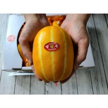 [성주 참외] 산지직송 첫수확 고당도보장 싱싱한 꿀 참외, 가정용 (못난이/흠과), [5kg-개별포장] 꼬마과(27~45과)