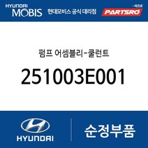 펌프 어셈블리-쿨런트 (251003E001) 그랜저TG 싼타페 더 스타일