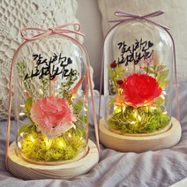 카네이션 LED 플라워 유리돔 유리병 스승의날 어버이날 선물 프리저브드 행사 기업 감사 선생님 부모님 축하 기념일 막대토퍼 레터링, 카네이션 레드