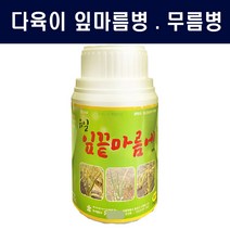 다육이 잎마름병 예방 치료제 - 잎끝마름에300ml 화분 화초 살균, 1병