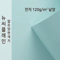 뉴씨플레인 종이문화 얇은 양면색지 120g 전지 낱장 1매 No.05 연하늘색, 1장