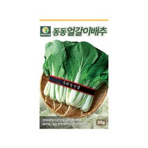 (DN) 동동얼갈이배추 씨앗(20g)
