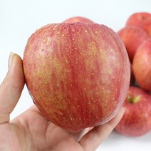 [의성직송] 달콤한 의성 사과 (꼬마)2.5kg3kg, 3kg