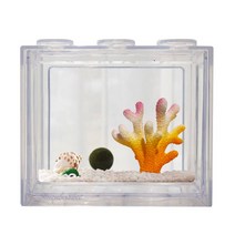 세남자바스켓 언더더씨 국산 마리모 DIY 세트 키우기-마리모(대), 옐로우핑크산호+흰자갈100g