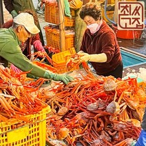 선주직송 박달 포항 구룡포 자숙 생물 연지홍게, 준박달연지홍게, 생물 3kg 9~12미, 1개