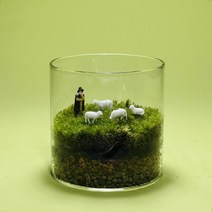 비바리움 이끼공기청정기 테라리움 이끼 식물 생태 풍경 DIY 장식 선물 녹색, 분지 포함, 양떼