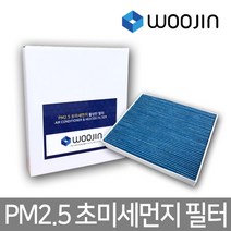 우진필터 PM2.5 초미세먼지 포드 에어컨필터, 익스플로러 6세대/YCF04, 1개