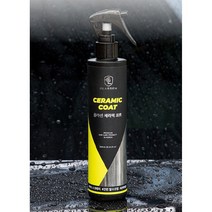 **차량 코팅제** 글라센 세라믹 코트 250ml 자동차 광택 코팅제, 250ml 1ea