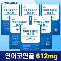 웰스고 프로테오글리칸 메가 정 360mg 프로태오글리칸 연어코연골 추출물 프로테오클리칸, 6개, 600mg, 60정
