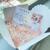 애견등록증 + 선물상자 SET 플라스틱받침대 미포함