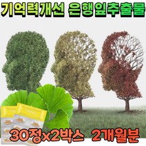플라보놀배당체 36mg 징코 플러스 은행잎 추출물 영양제 기억력 감퇴 개선 혈관 확장 뇌 혈관 혈행 에좋은 음식 식약처 기능성 인증 건강 기능 식품 약국 판매용 약사 추천