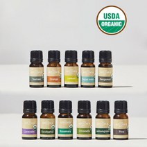 쏘이지 천연 유기농 에센셜 아로마 오일 10ml, 시트로넬라