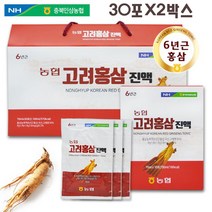 고려홍삼진액30포X2박스 국내산 6년근 홍삼 사포닌 홍삼달임액 칡 영지버섯 농축액