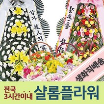 에크메아식물꽃배달 꽃화환 개원화환 결혼화환가격 근조화한 전시회화환 축개업화환 장례꽃배달 승진축하화환 장례식장조화 에크메아식물화분 꽃배달에크메아식물 꽃배달화분 화분에크메아식물, 2.근조3단