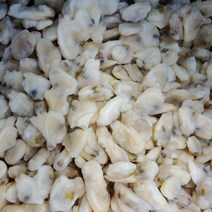 냉동 바지락살 1kg, 자숙 바지락살 1kg