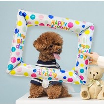 생일프레임풍선 축하레터링 인증샷 인생샷 반려동물생일풍선, 펌프(색상랜덤), 화이트