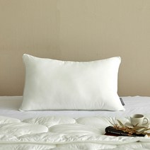 모던하우스 스웰 익스트림 볼륨 베개솜 40X60cm