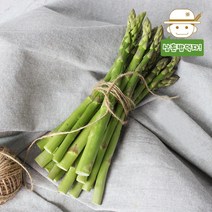 강원도에서 바로 보내드리는 생 아스파라거스 500g, 1개