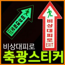 리플렉스 바닥용 화살표 비상대피로 축광스티커(400x200mm) 야광스티커 복도 바닥 내마모코팅 뛰어난 점착력, 1개