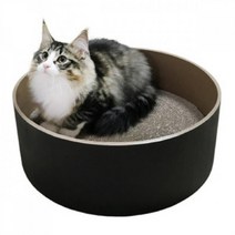 똘복M 애묘용품 캣닢가루 캣닢쿠션 증정 스크래쳐 (빅 블랙) 고양이, DDB_상품선택