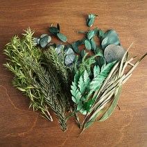 [올리브덴] 말린꽃 청첩장꽃 DIY 프리저브드플라워 박스 4color, 그린