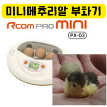 미니알콤 자동 부화기
